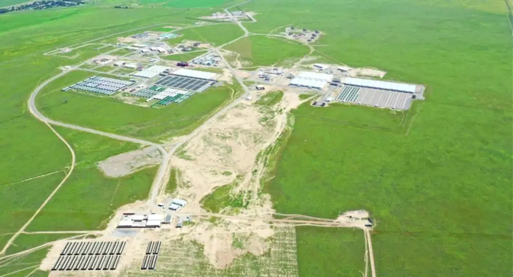 Houbara Breeding Station 2